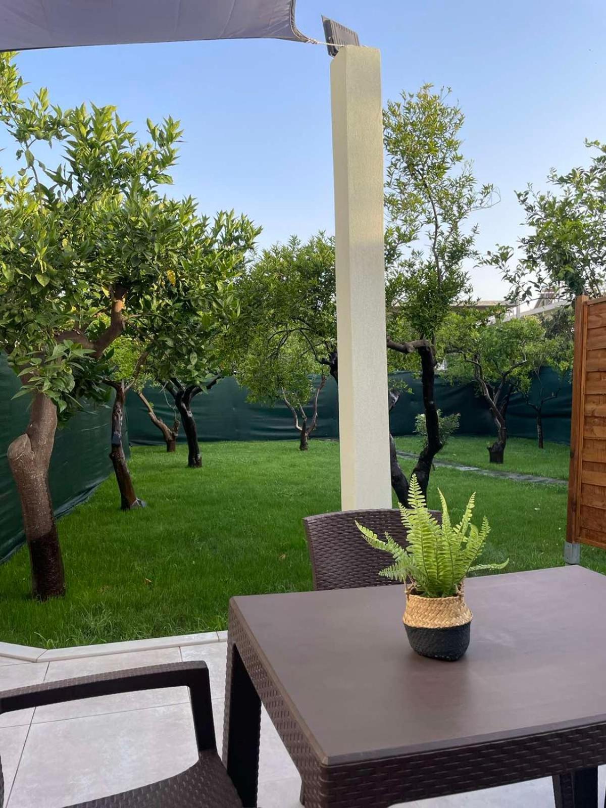 Manolis Cozy Home Hanya Dış mekan fotoğraf